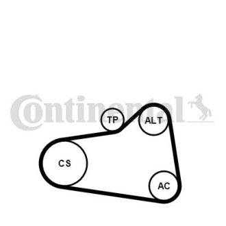 Contitech 6PK905EXTRAWP1