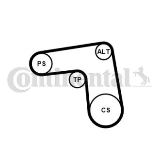 V-Ribbed Belt Set CONTINENTAL CTAM Contitech 7PK1076K1