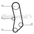 Water Pump & Timing Belt Set Contitech CT503WP1 (фото 3)