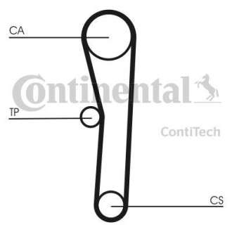 Belt CONTINENTAL CTAM Contitech CT562