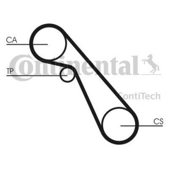 Belt CONTINENTAL CTAM Contitech CT703