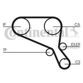 Belt CONTINENTAL CTAM Contitech CT953