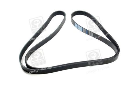 V belt Dongil 7PK2415