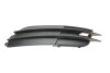 Fog light frame trim.right.without bright strip DPA 88071821302 (фото 1)