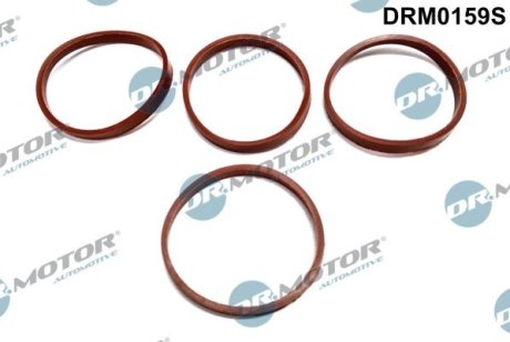 Прокладка колектора 4 шт. DR.MOTOR DRM0159S