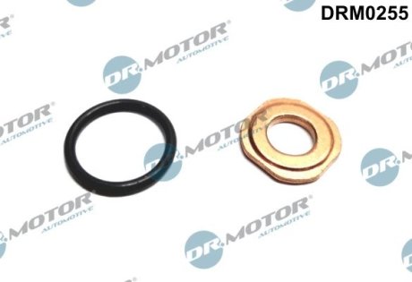 Ремкомплект форсунки 2 елемента DR.MOTOR DRM0255