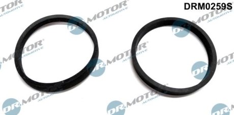 ZESTAW USZCZELEK KOL. SS. FORD FIESTA DR.MOTOR DRM0259S (фото 1)