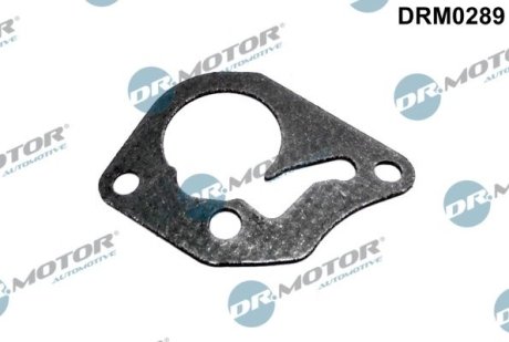 USZCZELKA POMPY RENAULT 1,9DCI 01- DR.MOTOR DRM0289 (фото 1)