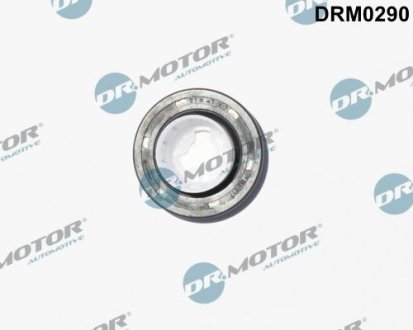 Сальники валу DR.MOTOR DRM0290