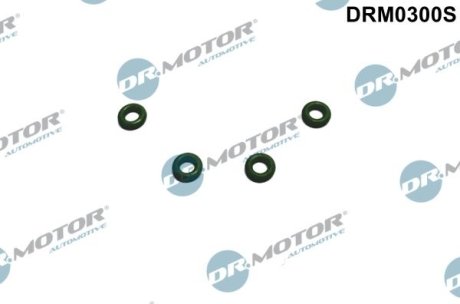 Ремкомплект форсунки топливной DR.MOTOR DRM0300S