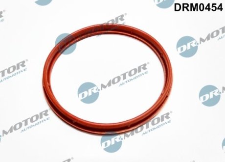 Ущільнююче кільце SS. FORD MONDEO 2,0TDCI 00- DR.MOTOR DRM0454