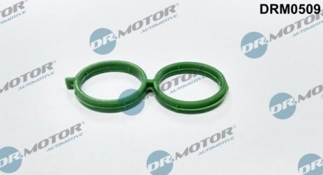 Прокладка DR.MOTOR DRM0509