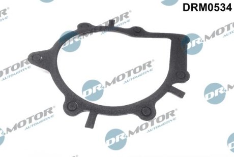 USZCZELKA POMPY WODY FORD FOCUS 2,0TDCI 09- DR.MOTOR DRM0534