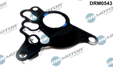 USZCZELKA POMPY SEAT LEON 2,0 03- DR.MOTOR DRM0543