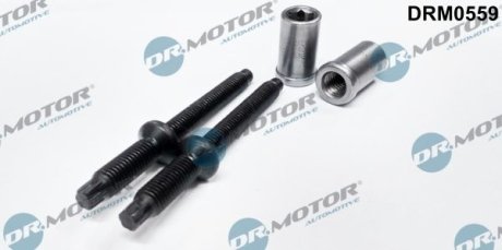 ЊRUBY MOCOWANIA WTRYSKIWACZA Z NAKRКTKAMI /2XЊRUBA, 2X NAKRКTKA/ CITROEN C3,C4 1,6 HDI, FORD FIESTA, FOCUS DR.MOTOR DRM0559