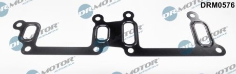 USZCZELKA PRZEWODU CHЭODZENIA FORD TRANSIT 2,4TDCI 00- DR.MOTOR DRM0576