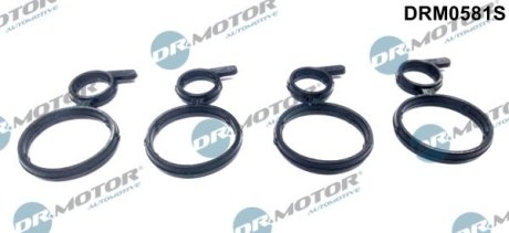 ZESTAW USZCZELEK WAЭKA ROZRZдDU BMW 1 E87 2,0D 04- DR.MOTOR DRM0581S