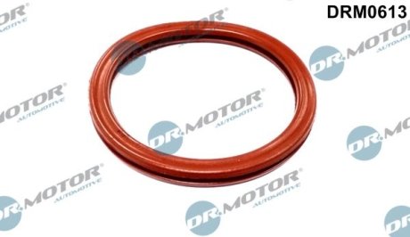 Ущільнююче кільце DR.MOTOR DRM0613