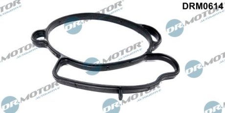 Прокладка колектора FORD MONDEO 1,6 95- DR.MOTOR DRM0614 (фото 1)