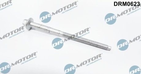 Болт DR.MOTOR DRM0623