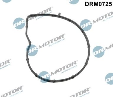 USZCZELKA POMPY WODY BMW CITROEN 1.4 1.6 DR.MOTOR DRM0725