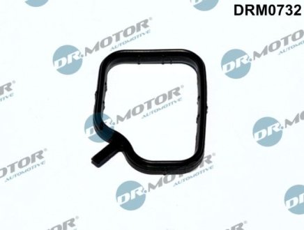 USZCZELKA KRрПCA WODY BMW 1 F20 1,6 12- DR.MOTOR DRM0732