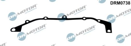 USZCZELKA OBUDOWY ROZRZдDU BMW 3 E46 2,0 98- DR.MOTOR DRM0738