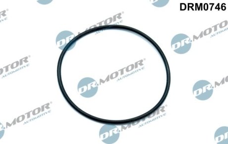 USZCZELKA VACUM POMPY DR.MOTOR DRM0746