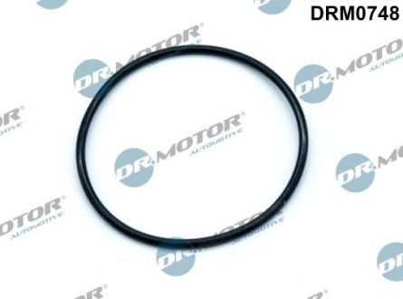 USZCZELKA POMPY PODCIЧNIENIA BMW 1 F20 1,6 12- DR.MOTOR DRM0748