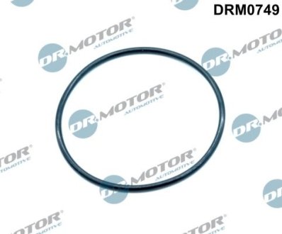 USZCZELKA ZAWORU EGR DR.MOTOR DRM0749 (фото 1)