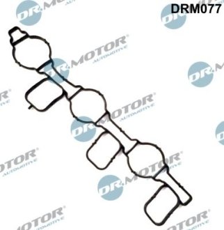 Прокладка колектора SSĄCEGO VAG Прокладка, впускной коллектор DR.MOTOR DRM077