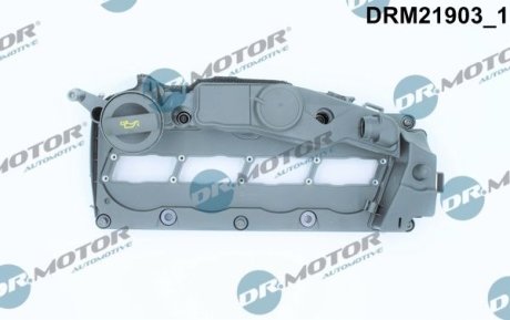 Кришка головки циліндра VW GOLF 2,0TDI 09- Z USZCZELKд DR.MOTOR DRM21903