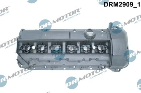 Кришка головки циліндра BMW 3 E46 2,2 00- Z USZCZELKд DR.MOTOR DRM2909