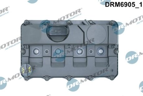 Кришка головки циліндра FORD TRANSIT 2,4TDCI 06- Z USZCZELKд DR.MOTOR DRM6905