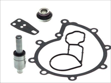 Ремкомплекти водяної помпи DT 131121