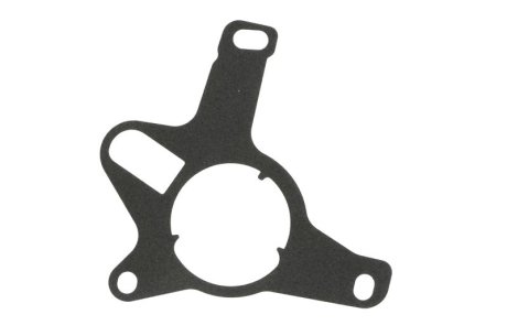 Прокладка вакуумного насосу CITROEN/FORD/PEUGEOT \'\'2.0HDI \'\'13>> ELRING 785710