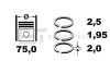 Комплект колец ET ENGINETEAM R1009300 (фото 2)