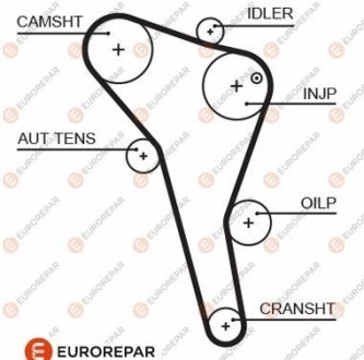 Ремінь ГРМ VW Passat/Audi A4 1.9TDI 95-00/Ford Galaxy 1.9TDI 95-06 (137x25) EUROREPAR 1633129180