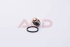 Термостат Duster/Logan/Clio/Kangoo/Megane I, II, III 1,4/1.6/2.0i 98- (88 C) (7.8543) Facet