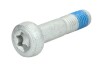 болт (со шлицем типа Torx) 24385