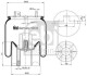 Пневморессора 4157 N P04 (со стаканом) FEBI FEBI BILSTEIN 39434 (фото 1)