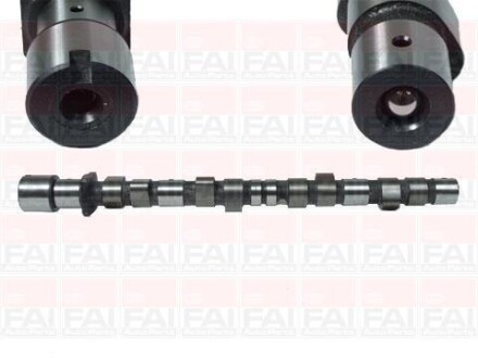 Розпредвал BMW M40B16/M40B18 316,318 FAI AUTOPARTS Fischer C175