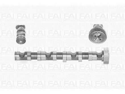 Розподільчий вал Audi A4, A6 99-03 Skoda Super B /WV Passat 97-05 FAI AUTOPARTS Fischer C246