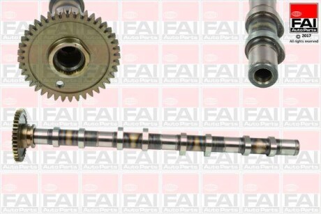 FAI AUTOPARTS Fischer C382