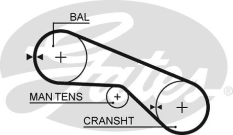 Ремень ГРМ Gates 5025
