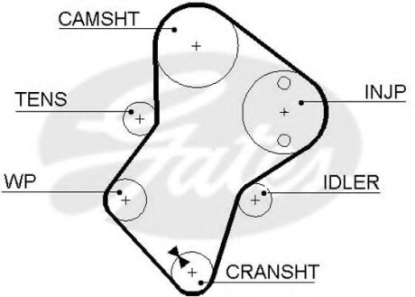 Ремінь ГРМ Gates 5049