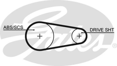 Пас ГРМ Gates 5204XS