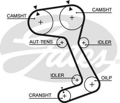 Ремінь ГРМ Gates 5364XS