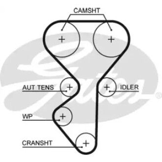 Пас ГРМ з довжиною кола понад 60 см, але не більш як 150см Gates 5631XS