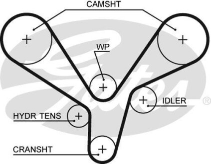Ремінь ГРМ Gates 5636XS